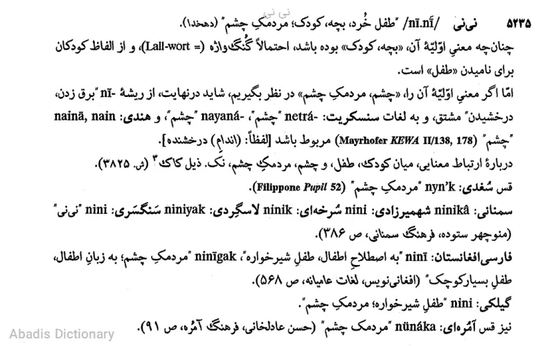 نی نی